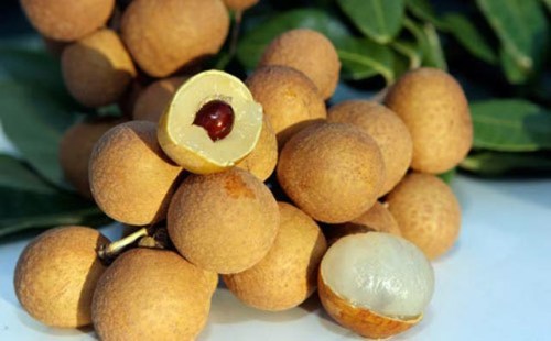 Nhãn lồng