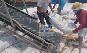 Nhân công chuyển củi trấu lên xà lan