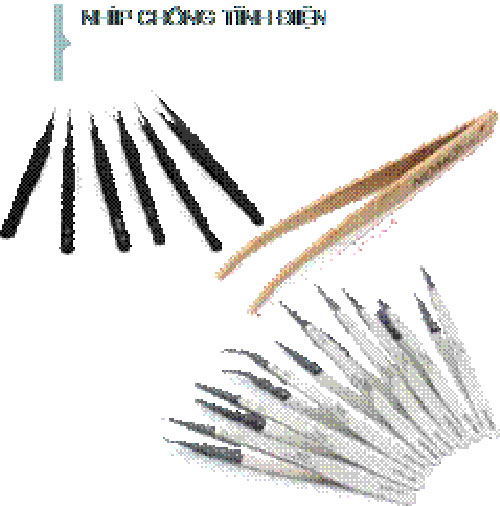 Nhíp chống tĩnh điện