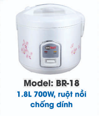 Nồi cơm điện nắp gài