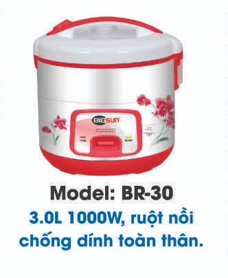 Nồi cơm điện nắp gài