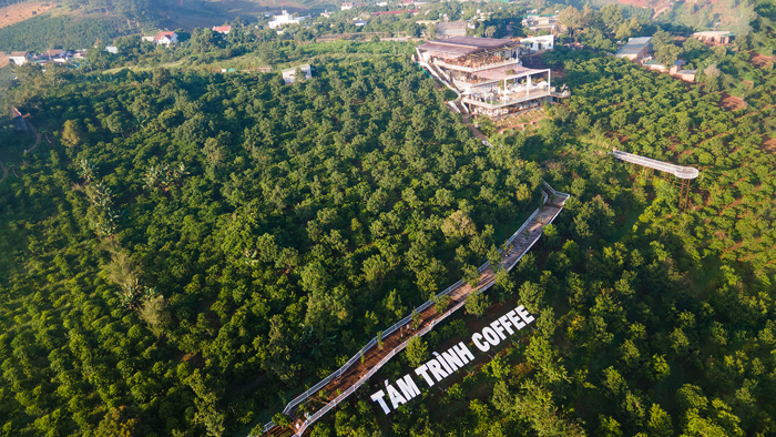 Nông trại cà phê