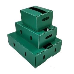 Thùng Danpla đựng nông sản