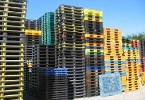 Pallet nhựa