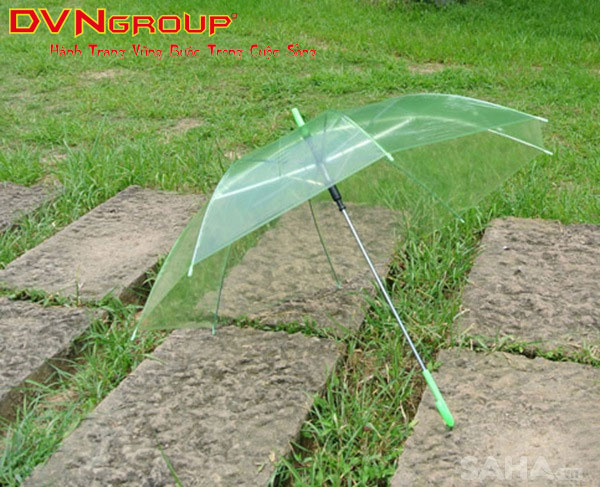 Ô dù trong suốt