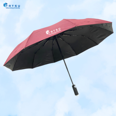 Ô gập 3 tự động 2 chiều 10 nan