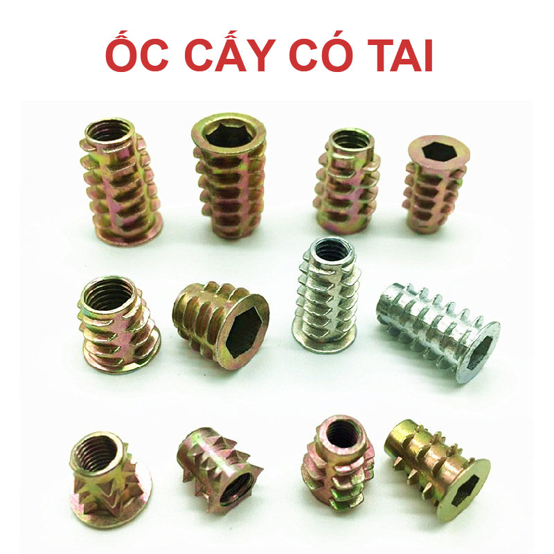 Ốc cấy có tai