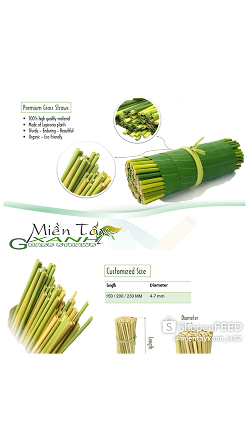 Ống hút cỏ bàng