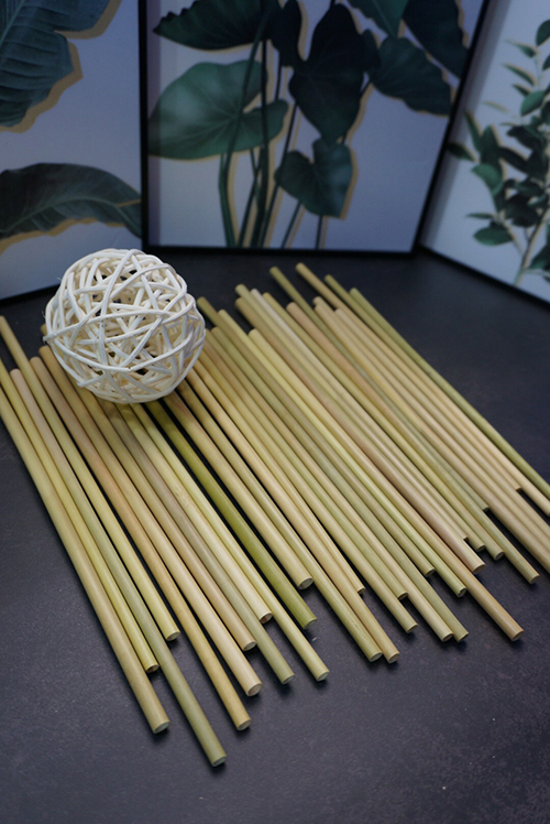 Ống hút cỏ bàng