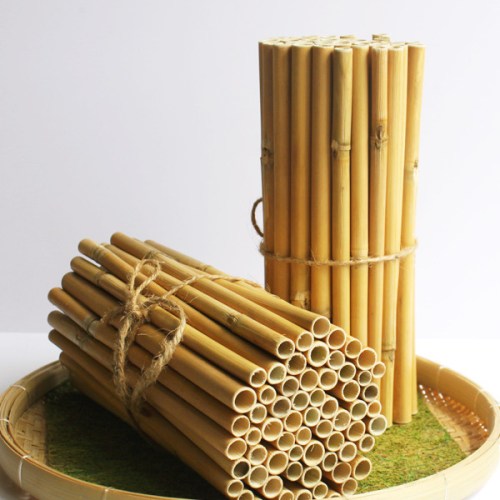 Ống hút tự nhiên