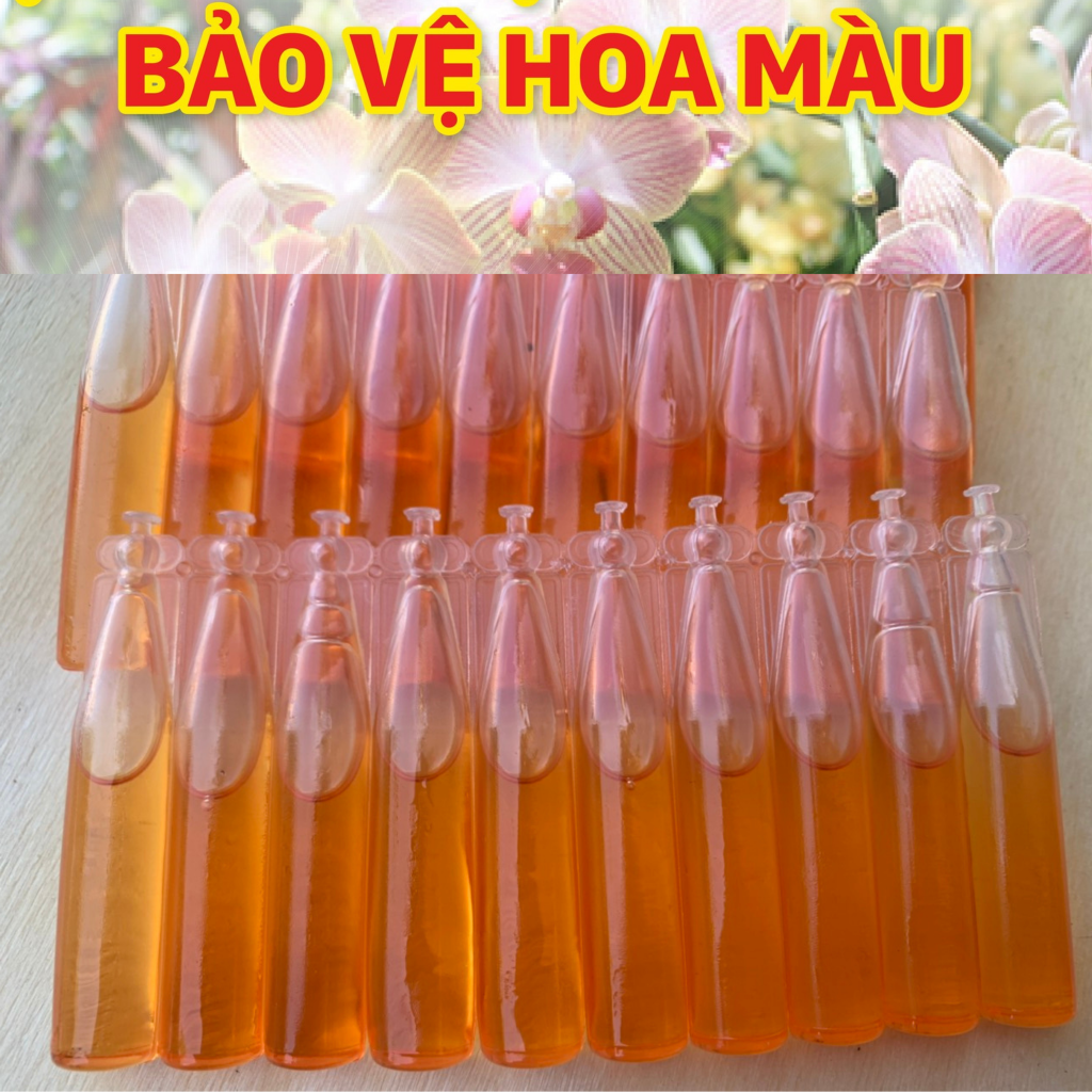 ống chất dẫn dụ ruồi vàng An Phát