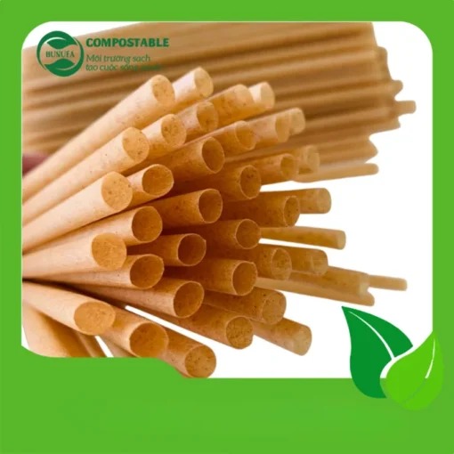 Ống hút từ bã mía (không bọc giấy)