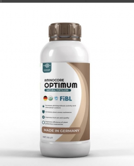Optimum