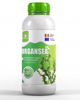 Organsea