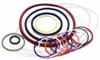 O-Ring