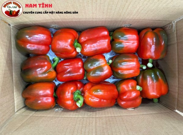 Ớt chuông đỏ