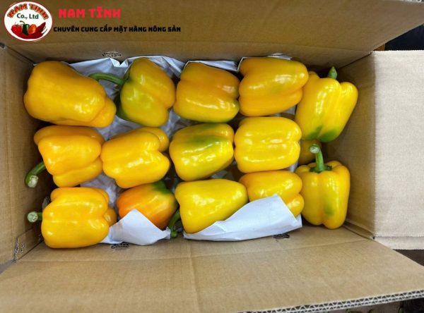 Ớt chuông vàng