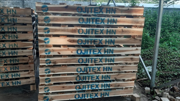 Pallet giấy