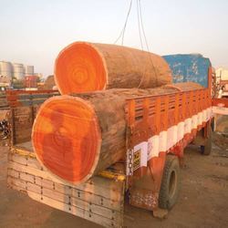 Vận chuyển gỗ đỏ