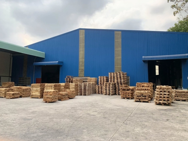 Pallet gỗ