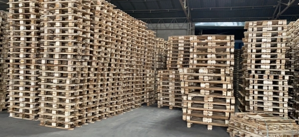 Pallet gỗ