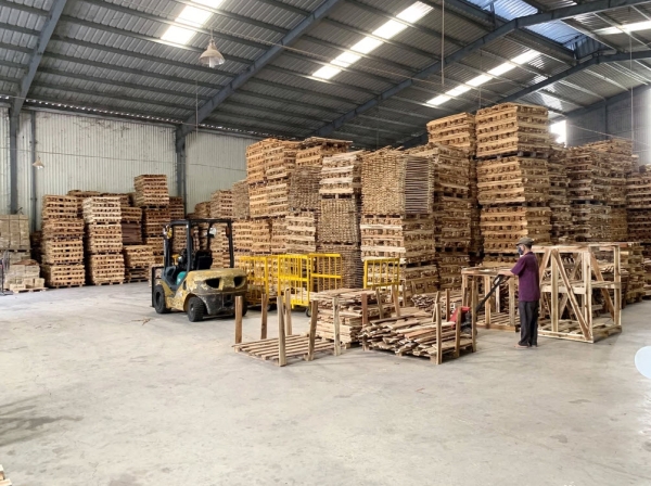 Pallet gỗ