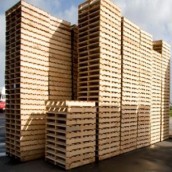 Pallet gỗ tạp
