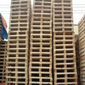 Pallet gỗ thường