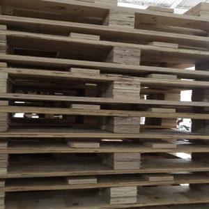 Pallet gỗ các loại