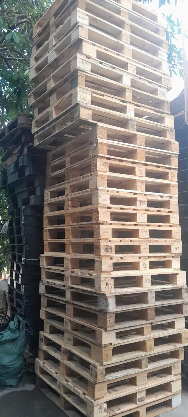 Pallet gỗ 1.1mx1.2m