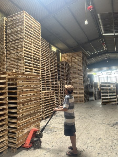 Pallet gỗ