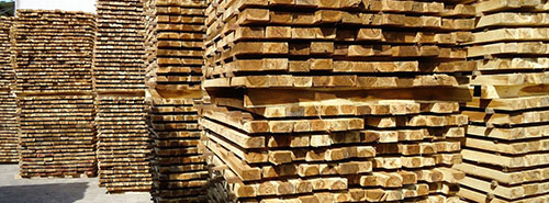 Pallet gỗ tràm vàng
