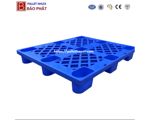 Pallet nhựa cốc