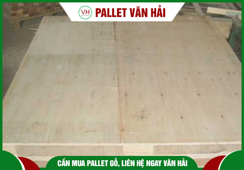 Pallet Gỗ