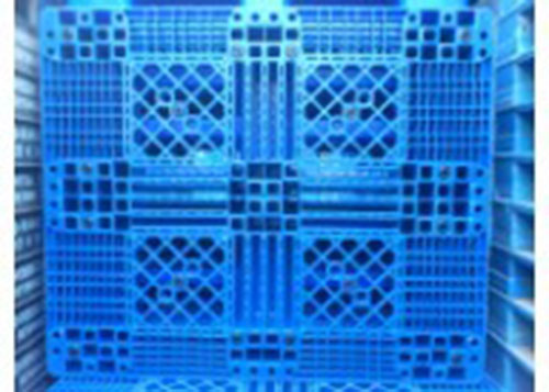 Pallet nhựa