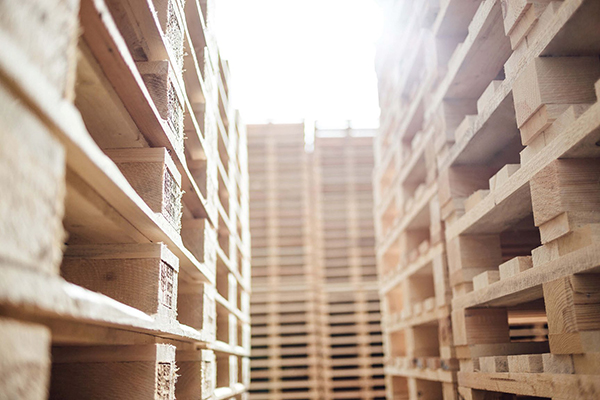 Pallet gỗ