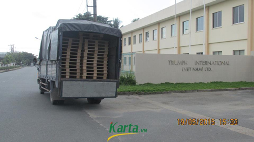 Pallet giấy