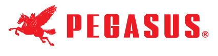 Pegasus