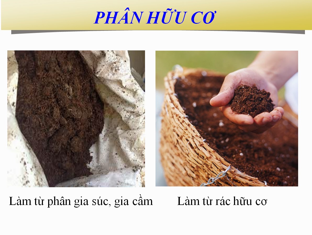 Phân hữu cơ