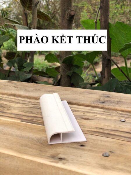Phào kết thúc