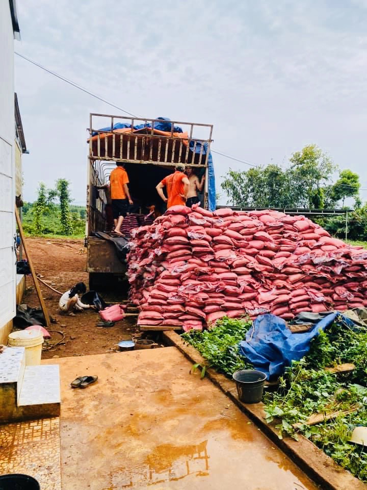 Phèn đánh đông mủ