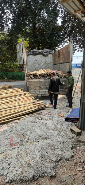 Phên tre
