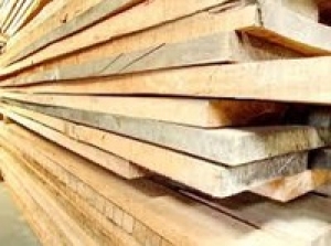Phôi gỗ thông hinoki