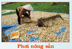 Phơi nông sản