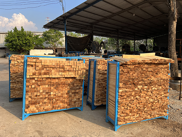 Phôi tươi chuẩn bị tẩm sấy