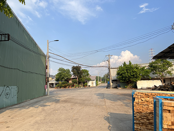 Phôi tươi chuẩn bị tẩm sấy