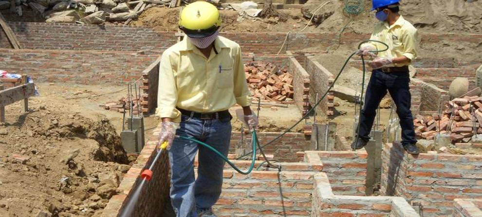 Dịch vụ diệt côn trùng