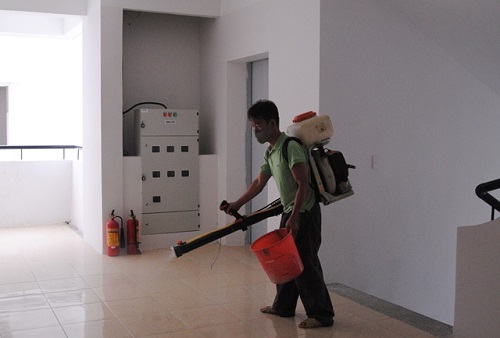 Dịch vụ phun thuốc diệt kiến