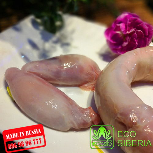 Pín hươu tươi Siberia