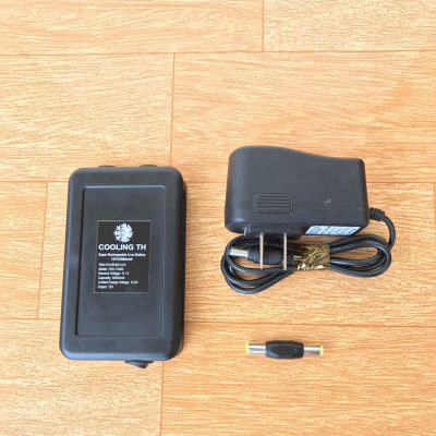 Pin Lithium 12V 3000mAh